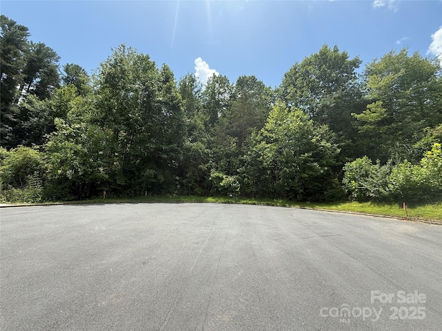 1047 Williamsburg Dr, Lenoir, NC 28645 - photo 3