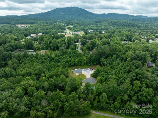 1047 Williamsburg Dr, Lenoir, NC 28645 - photo 9