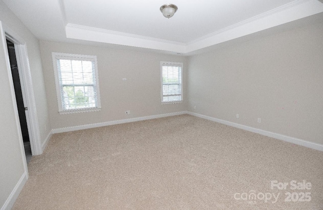 128 Carolina Ash Ln, Mooresville, NC 28117 - empty room with a tray ceiling, light carpet, and ornamental molding