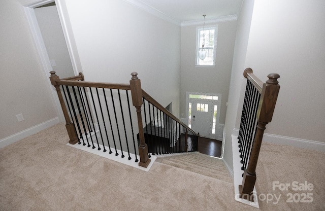 128 Carolina Ash Ln, Mooresville, NC 28117 - carpeted entryway featuring ornamental molding and baseboards