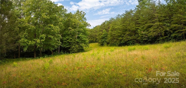 99999 Lavender Rd, Old Fort, NC 28762