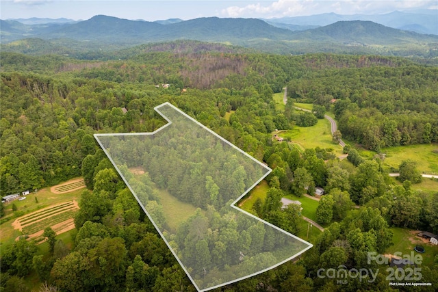 99999 Lavender Rd, Old Fort, NC 28762