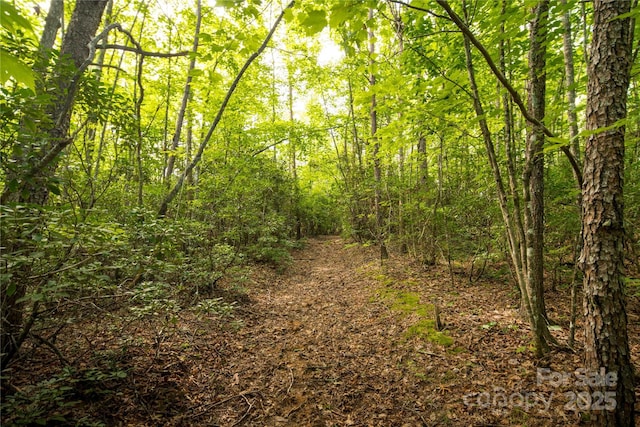 99999 Lavender Rd, Old Fort, NC 28762