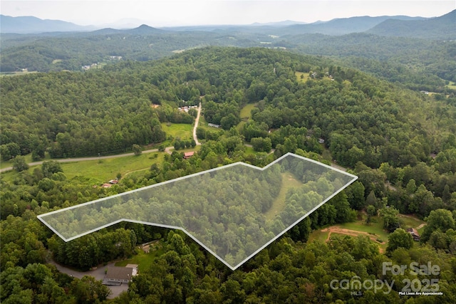 99999 Lavender Rd, Old Fort, NC 28762