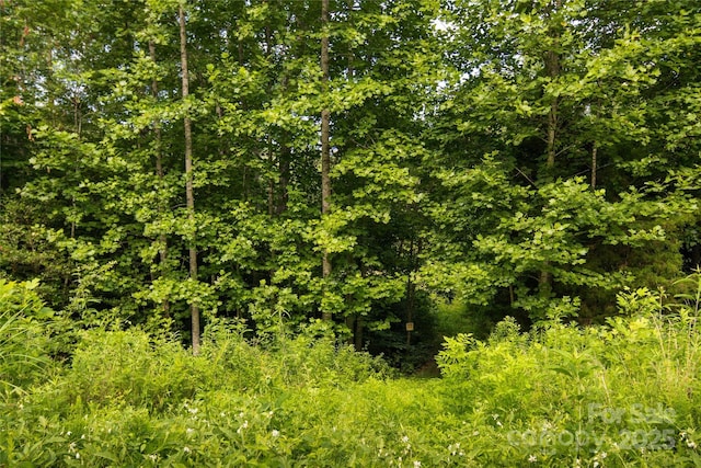 99999 Lavender Rd, Old Fort, NC 28762