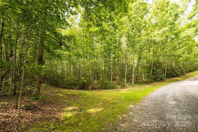 99999 Lavender Rd, Old Fort, NC 28762