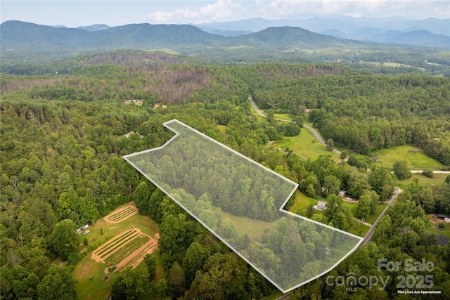 99999 Lavender Rd, Old Fort, NC 28762