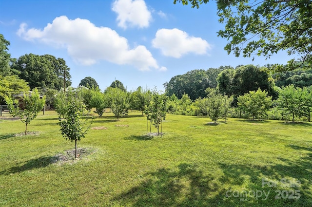 1530 Peachtree Rd, Charlotte, NC 28216 - photo 30