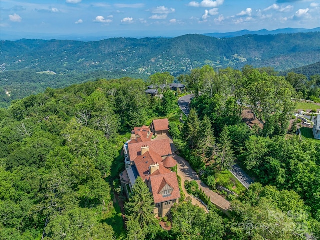 234 Skycliff Dr Unit 3, Asheville, NC 28804 - photo 5