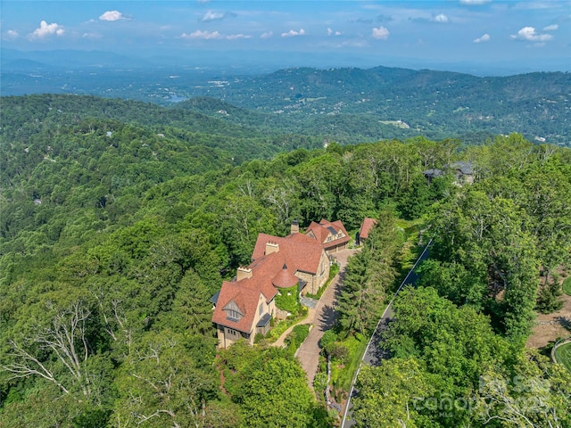 234 Skycliff Dr Unit 3, Asheville, NC 28804 - photo 6