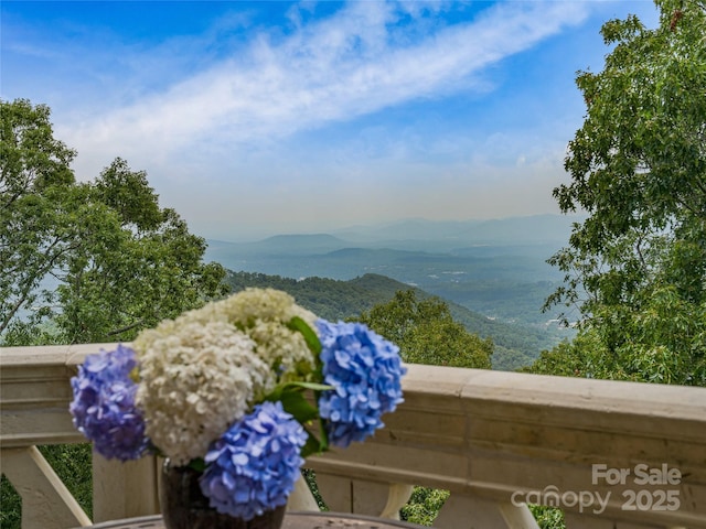 234 Skycliff Dr Unit 3, Asheville, NC 28804 - photo 26