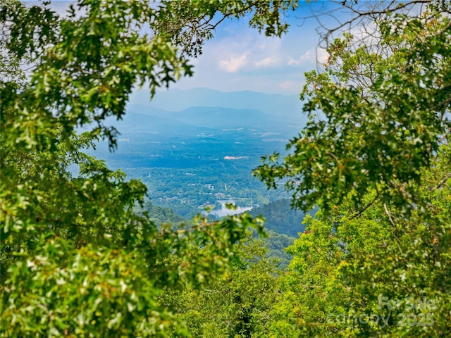 234 Skycliff Dr Unit 3, Asheville, NC 28804 - photo 46