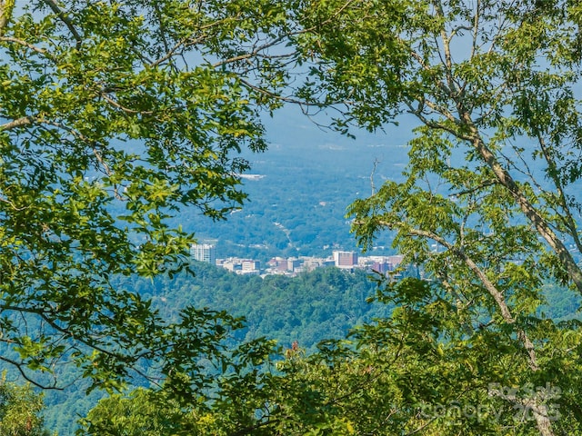 234 Skycliff Dr Unit 3, Asheville, NC 28804 - photo 47