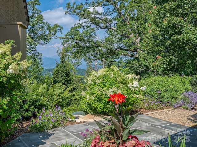 234 Skycliff Dr Unit 3, Asheville, NC 28804 - photo 48