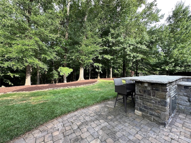 7816 Clovervale Dr, Waxhaw, NC 28173 - view of patio