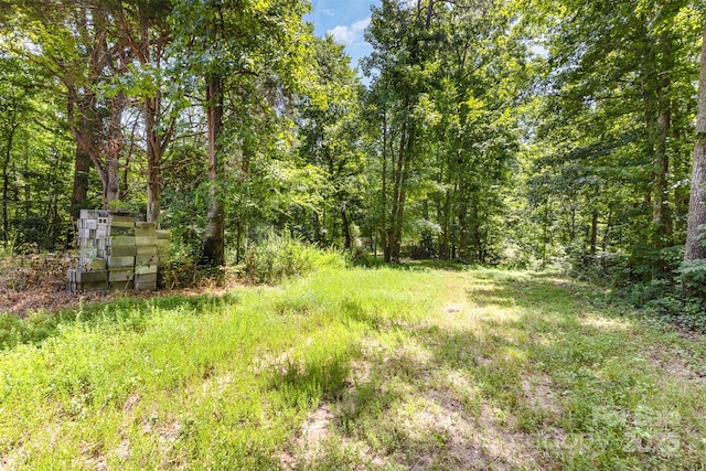 3344 Shiloh Church Rd, Davidson, NC 28036 - photo 9
