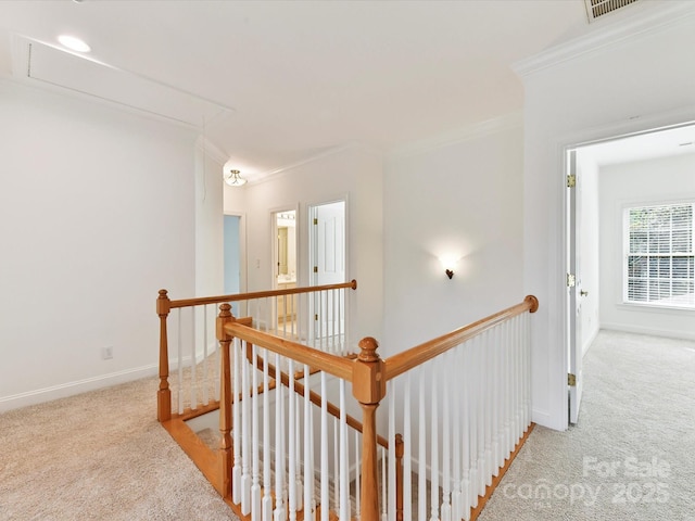 5434 Shoal Brook Ct, Charlotte, NC 28277 - photo 18