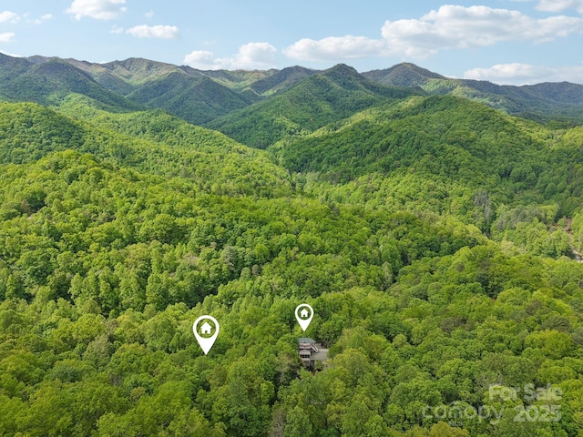 295 Dills Rd, Bryson City, NC 28713 - view of mountain background featuring a heavily wooded area