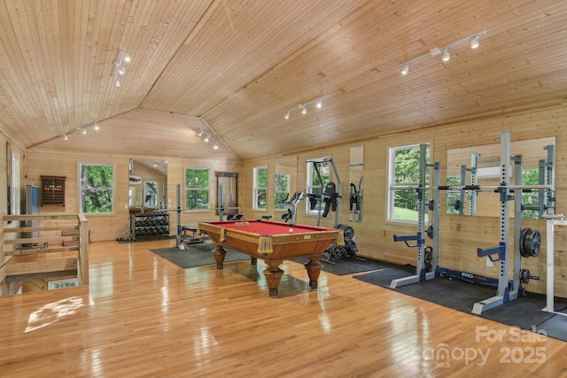 295 Dills Rd, Bryson City, NC 28713 - rec room featuring lofted ceiling, wood walls, rail lighting, billiards table, and wood finished floors