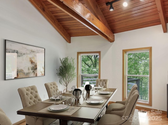 295 Dills Rd, Bryson City, NC 28713 - dining area with wood ceiling, wood finished floors, and rail lighting