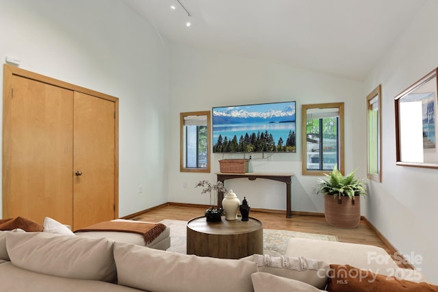 295 Dills Rd, Bryson City, NC 28713 - living area featuring light wood-type flooring and high vaulted ceiling