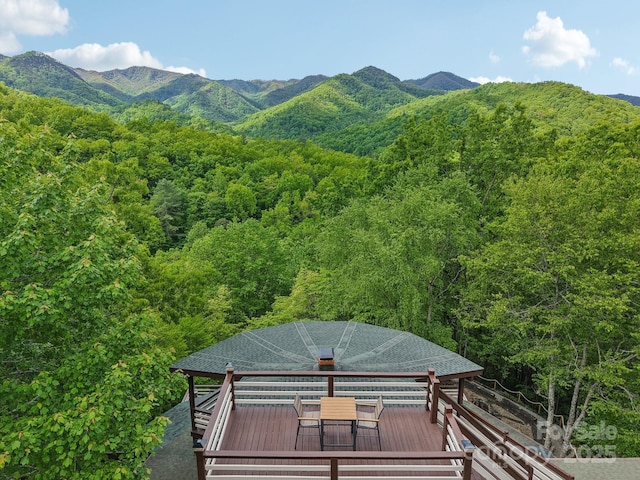 295 Dills Rd, Bryson City, NC 28713 - view of mountain backdrop featuring a heavily wooded area