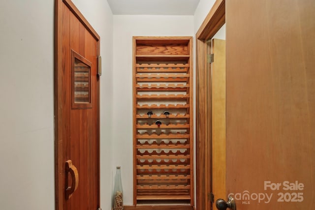 295 Dills Rd, Bryson City, NC 28713 - view of wine cellar