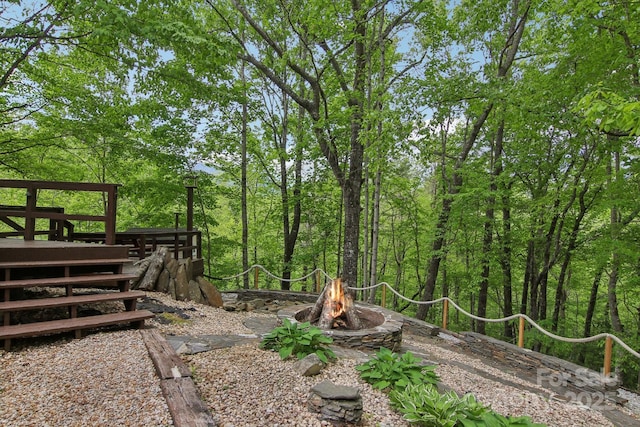 295 Dills Rd, Bryson City, NC 28713 - view of yard with an outdoor fire pit