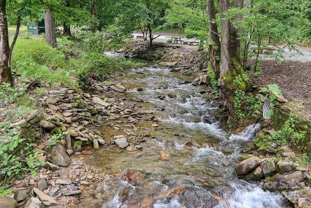 295 Dills Rd, Bryson City, NC 28713 - view of wooded area