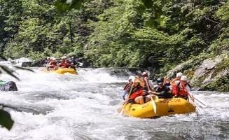 295 Dills Rd, Bryson City, NC 28713 - view of property's community with a wooded view
