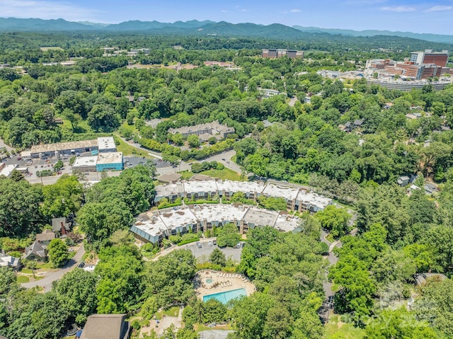 111 Bowling Park Rd Unit 111, Asheville, NC 28803 - photo 12