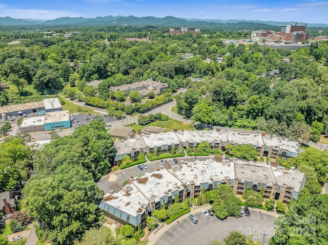 111 Bowling Park Rd Unit 111, Asheville, NC 28803 - photo 14