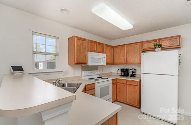 10506 Gold Pan Rd, Charlotte, NC 28215 - photo 14