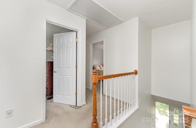 10506 Gold Pan Rd, Charlotte, NC 28215 - photo 18