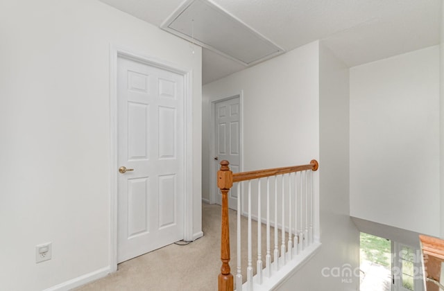 10506 Gold Pan Rd, Charlotte, NC 28215 - photo 19