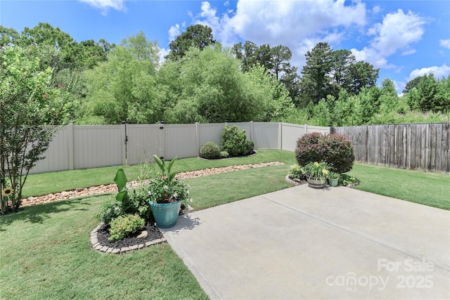 201 Fesperman Cir, Troutman, NC 28166 - fenced backyard with a patio area