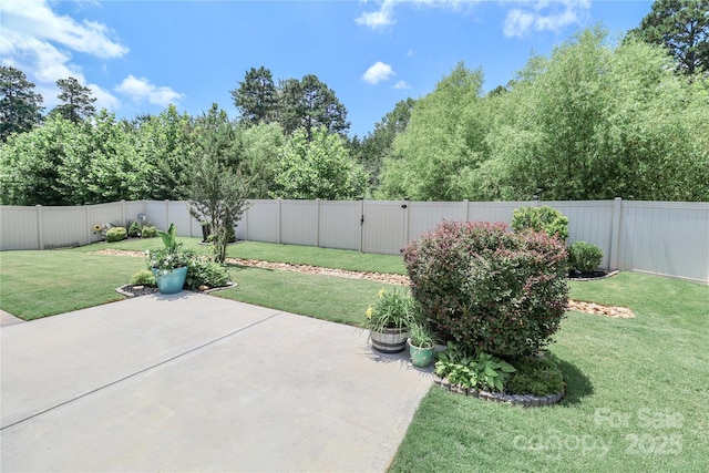 201 Fesperman Cir, Troutman, NC 28166 - fenced backyard featuring a patio area