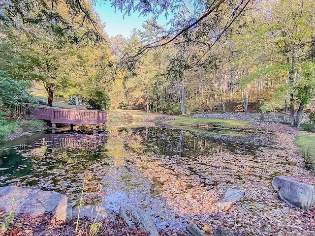 215 Crossvine Trl Unit 11, Hendersonville, NC 28739 - photo 4