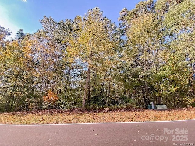 215 Crossvine Trl Unit 11, Hendersonville, NC 28739 - photo 7