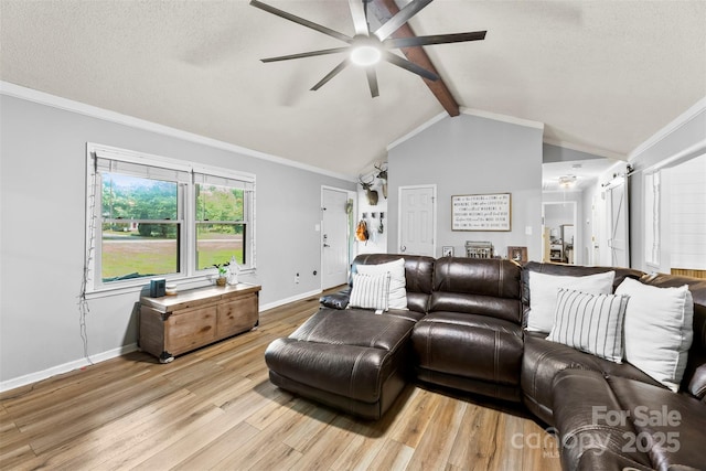 339 Deep Forest Ct, Gastonia, NC 28056 - living room featuring a ceiling fan, light wood-type flooring, and ornamental molding