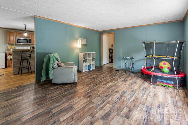 118 Reeves Rd, Leicester, NC 28748 - photo 5