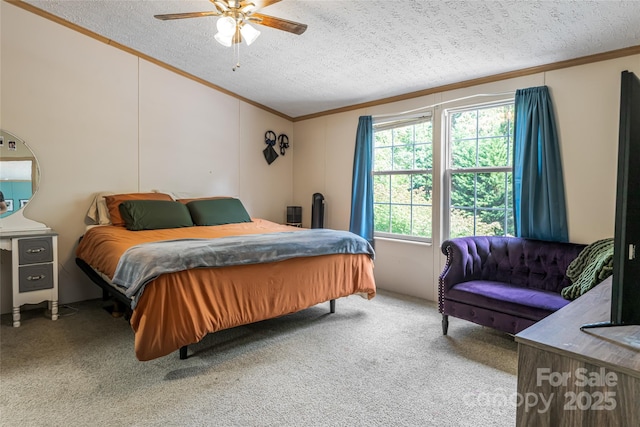 118 Reeves Rd, Leicester, NC 28748 - photo 6