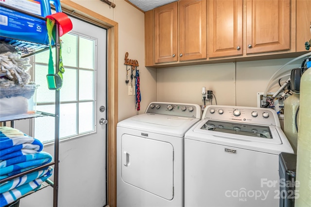 118 Reeves Rd, Leicester, NC 28748 - photo 11
