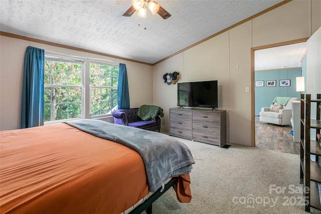 118 Reeves Rd, Leicester, NC 28748 - photo 14