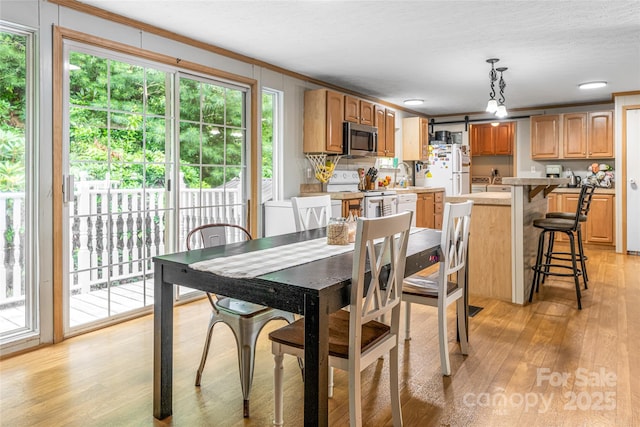 118 Reeves Rd, Leicester, NC 28748 - photo 16