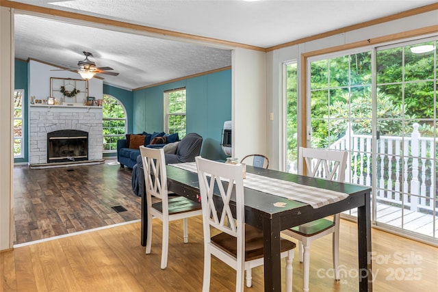 118 Reeves Rd, Leicester, NC 28748 - photo 22
