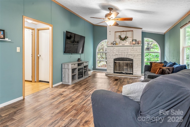 118 Reeves Rd, Leicester, NC 28748 - photo 26