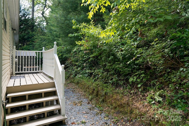 118 Reeves Rd, Leicester, NC 28748 - photo 32