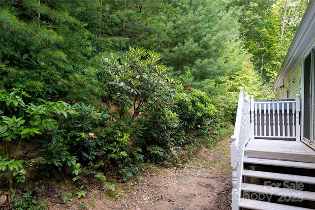 118 Reeves Rd, Leicester, NC 28748 - photo 33