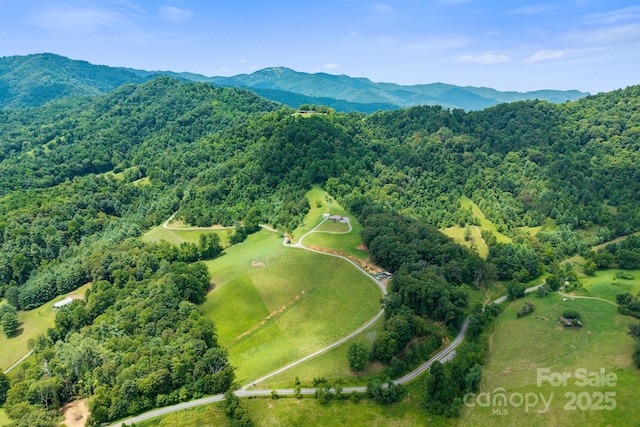 1045 Graham Rd, Marshall, NC 28753 - photo 31